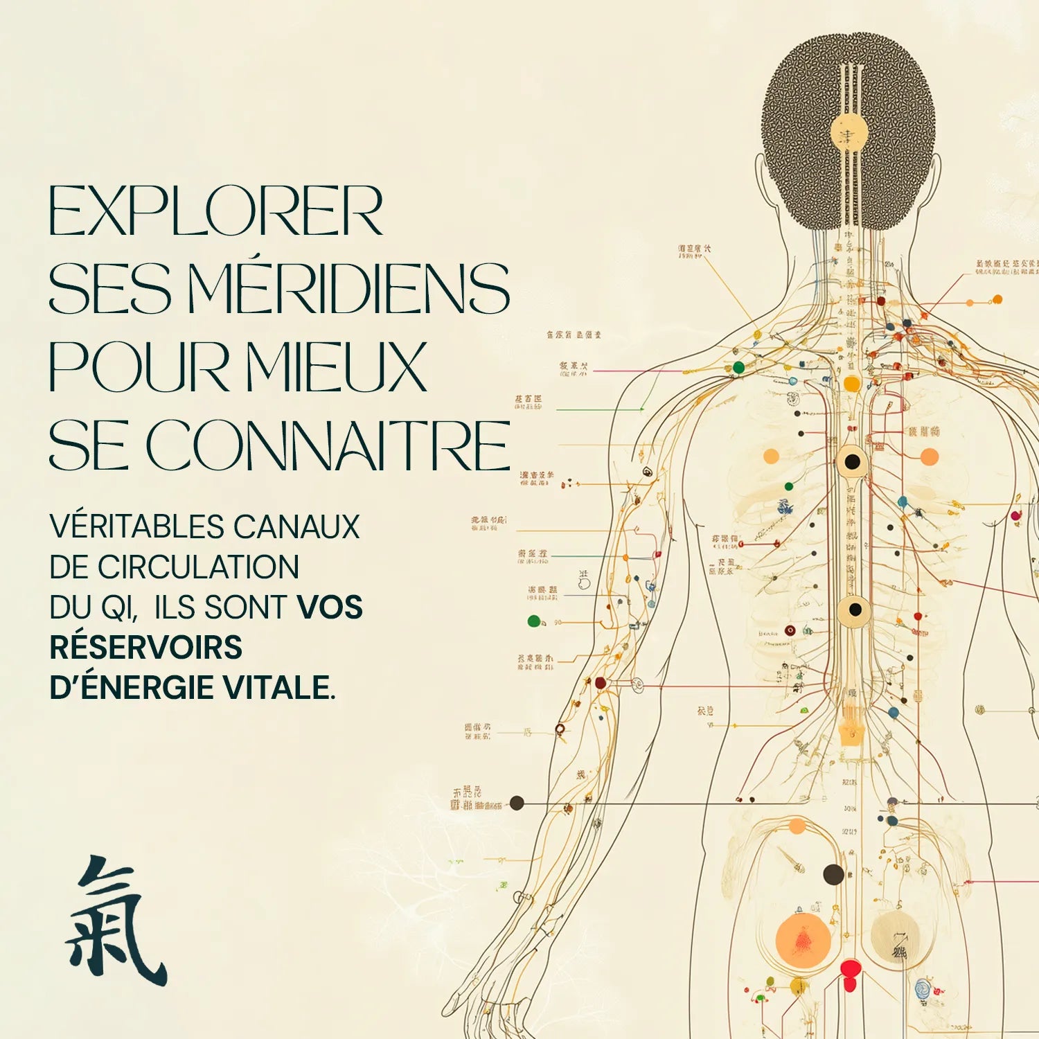 Réveillez votre énergie vitale grâce à la Médecine Chinoise - Les principes fondamentaux 